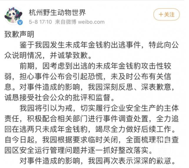 杭州野生动物世界对未及时公布消息致歉  经核实第二只被抓金钱豹仍有生命体征