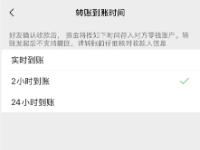 微信延时支付功能_微信延时到账怎么设置_微信延时到账怎么改成立马到账